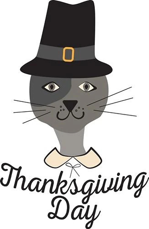 Thanksgiving Day Cat
