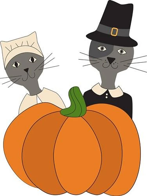 Pilgrim Cats
