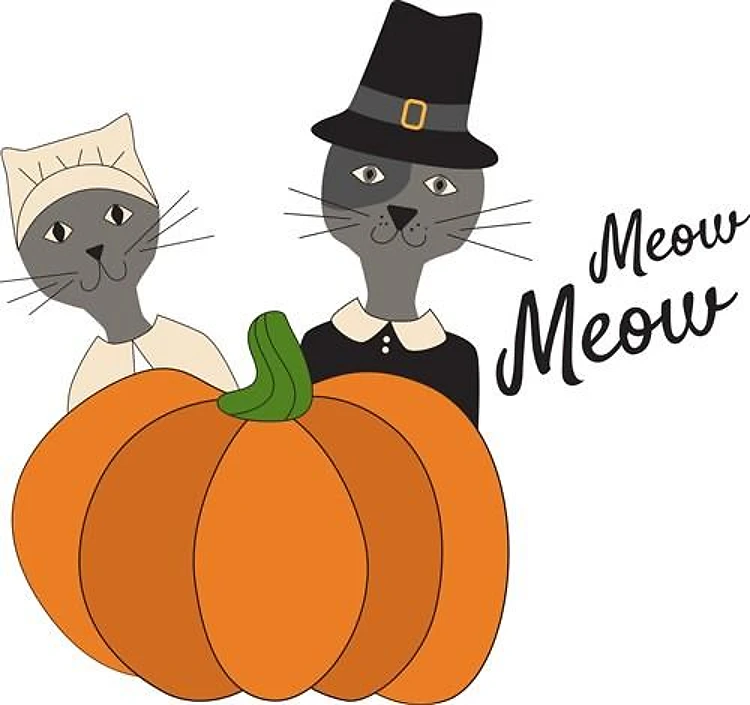 Meow Cat