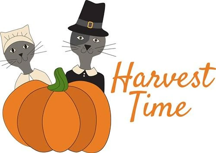 Harvest Time