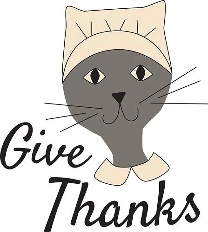 Give Thanks Cat