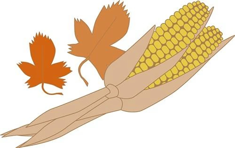 Fall Corn