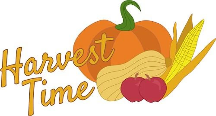 Harvest Time