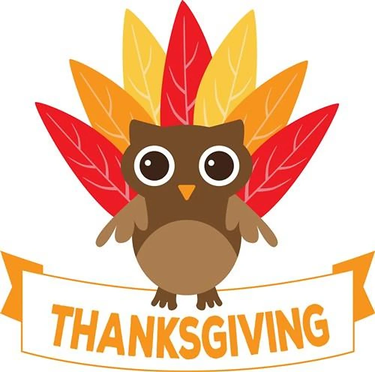 Thanksgiving Owl