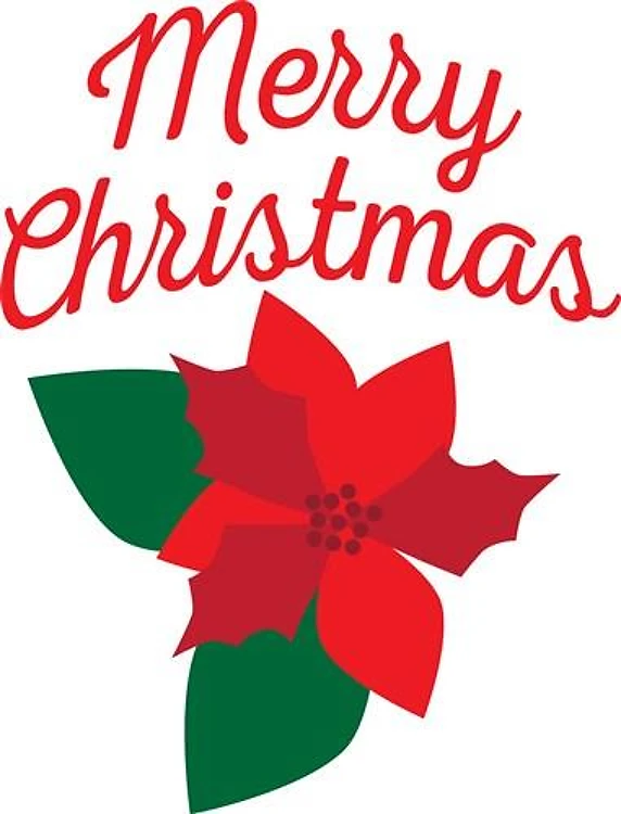 Merry Christmas Flower