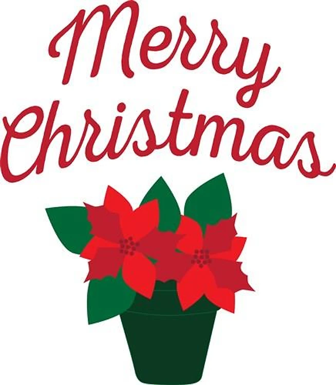 Merry Christmas Floral