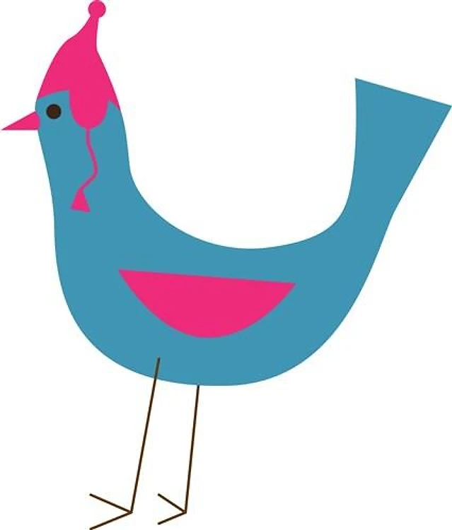 Bird In Hat