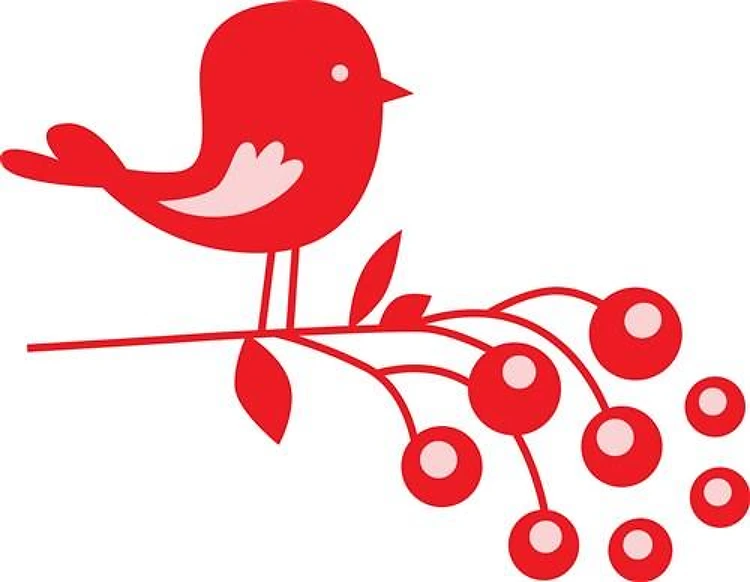 Bird And Red Berries