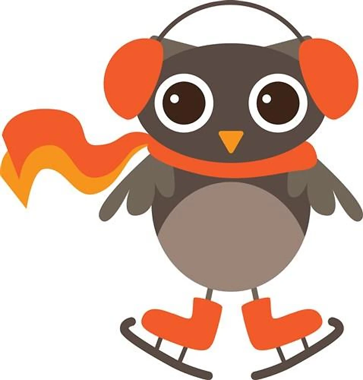Owl Ice Skates