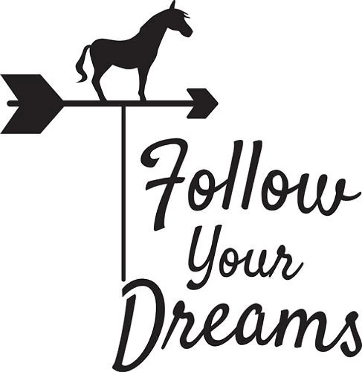 Follow Dreams