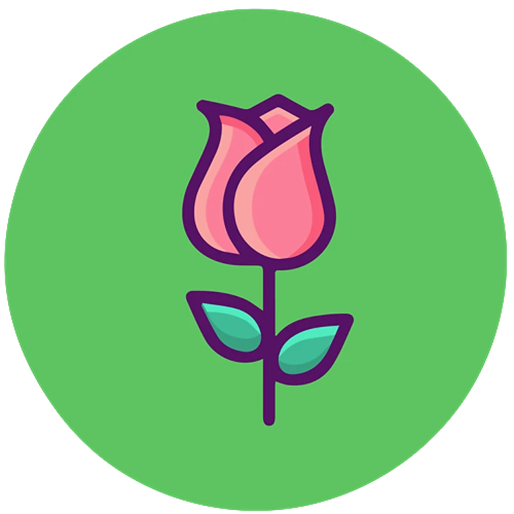 FSL Pink Rose