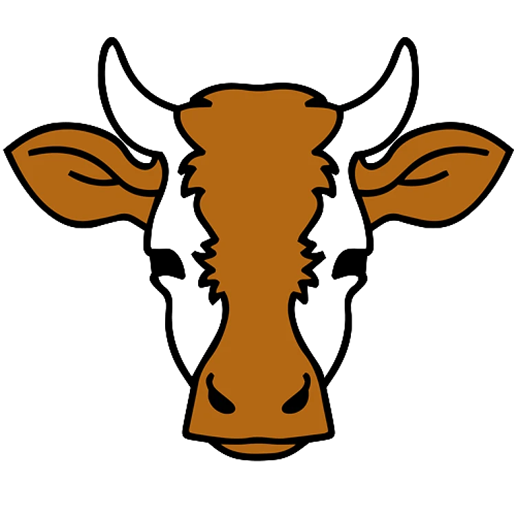 FSL Steer Head