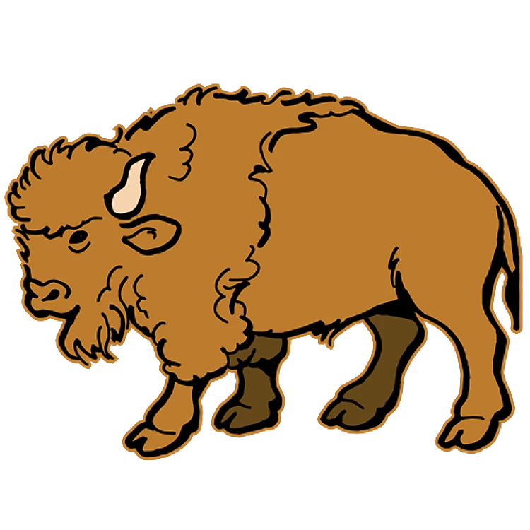 FSL Buffalo