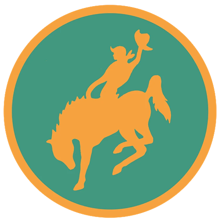 FSL Bucking Bronco