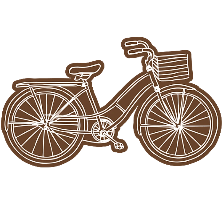 FSL Bicycle
