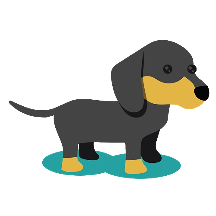 FSL Dachshund