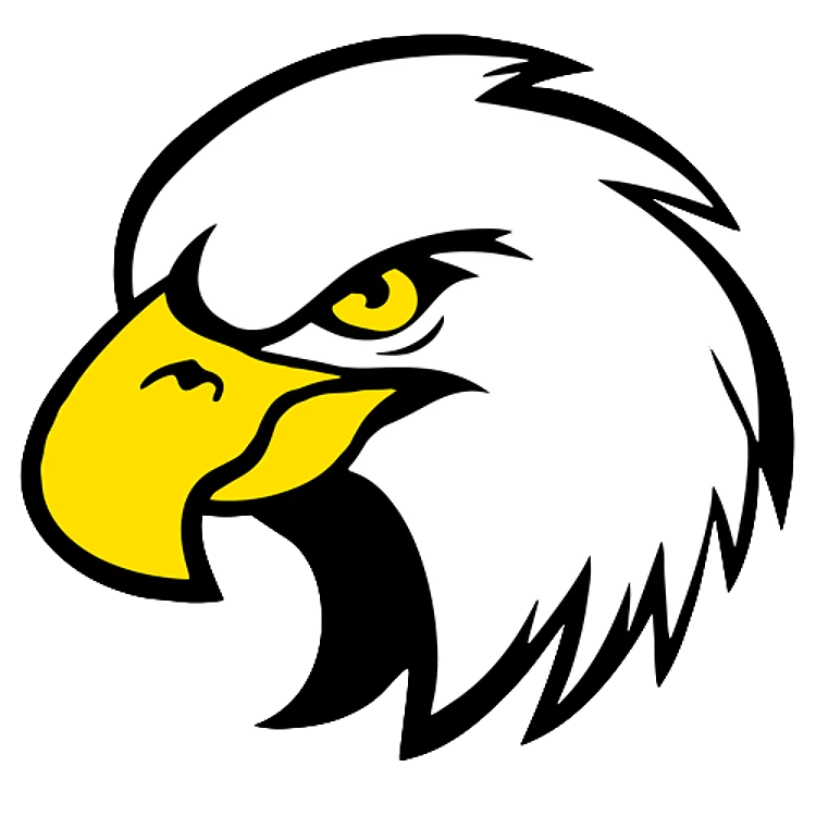 FSL Bald Eagle Head