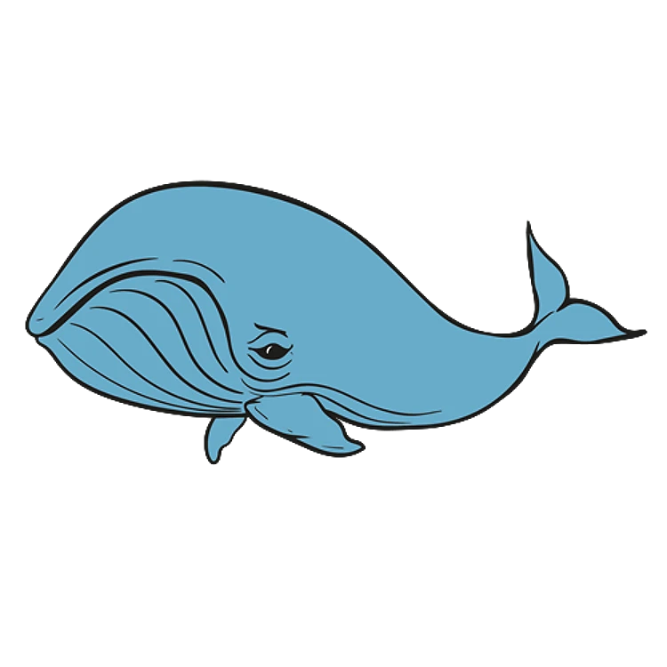 FSL Whale