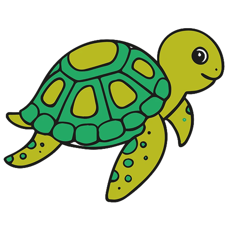 FSL Sea Turtle