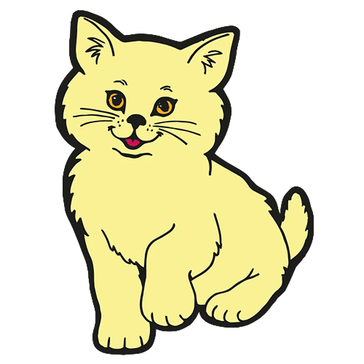 FSL Cat