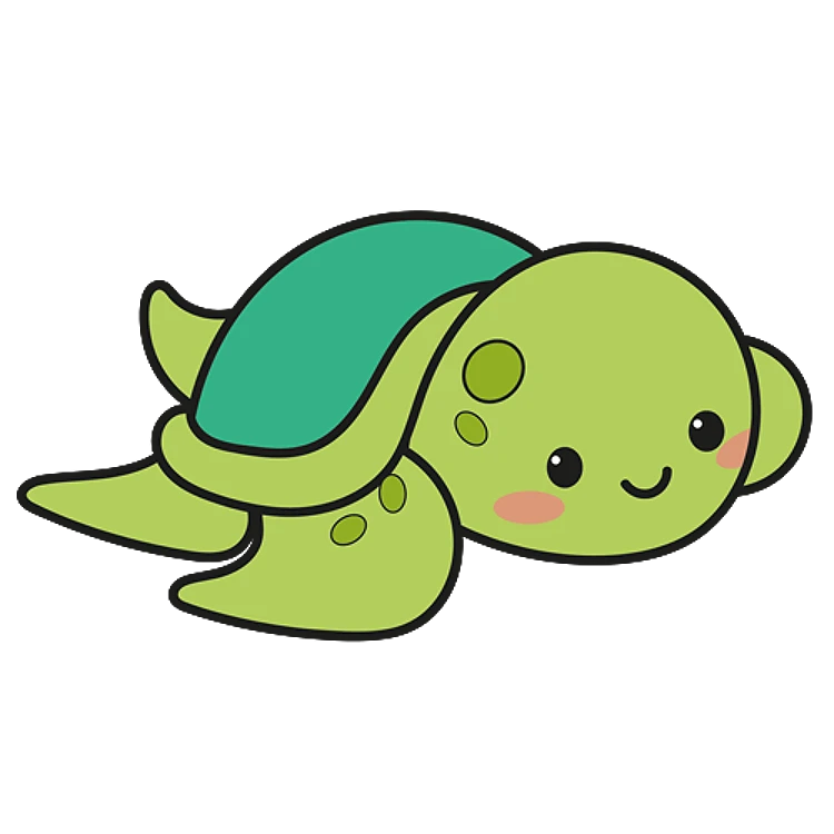 FSL Sea Turtle