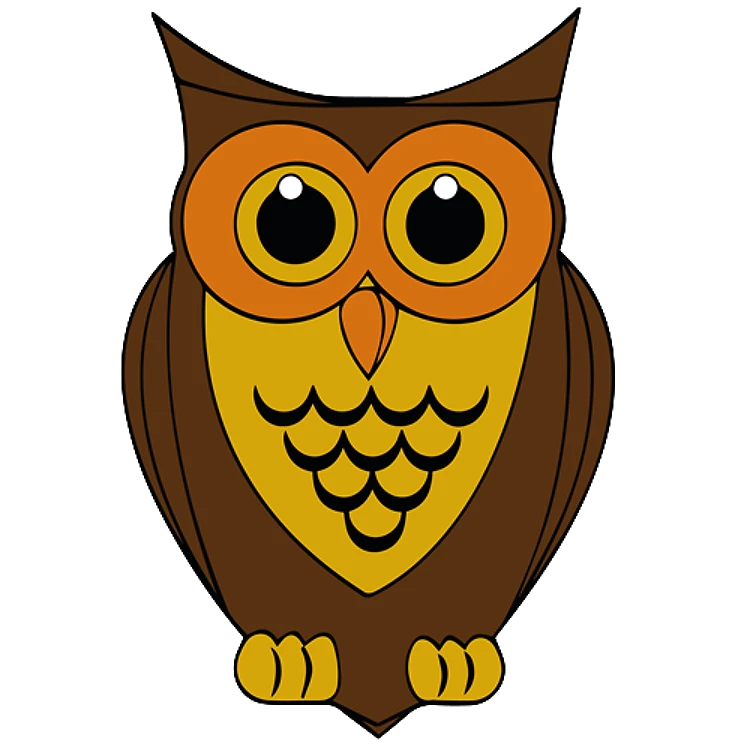 FSL Barn Owl