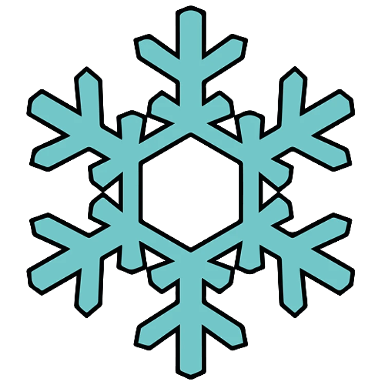FSL Winter Snowflake
