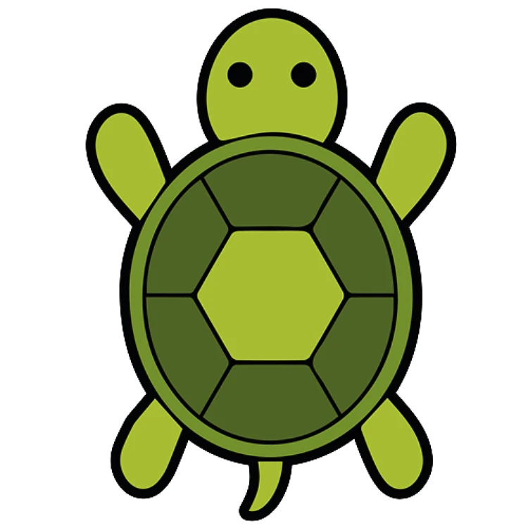 FSL Turtle