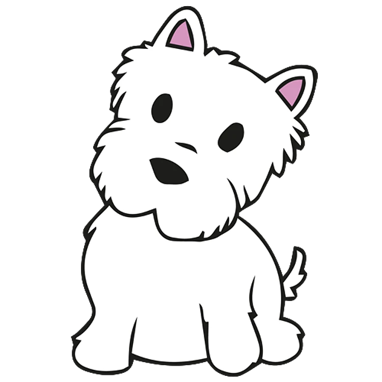 FSL Maltese Puppy