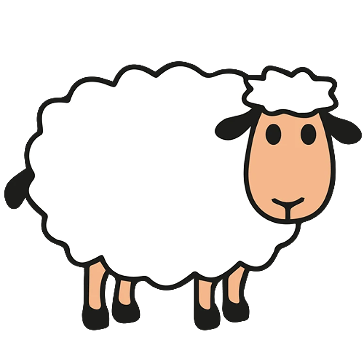 FSL Sheep