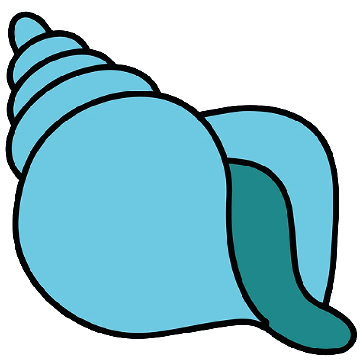 FSL Sea Shell