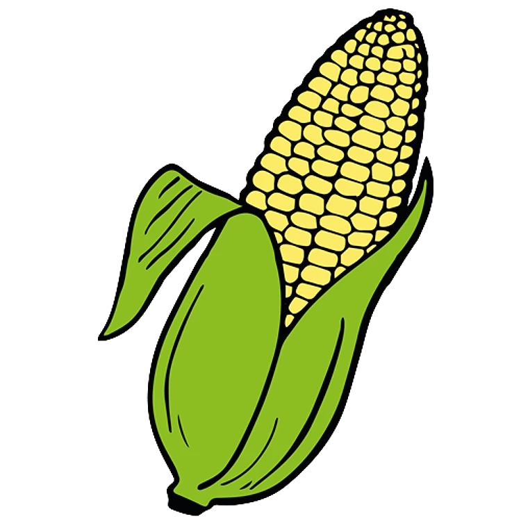 FSL Ear Of Corn