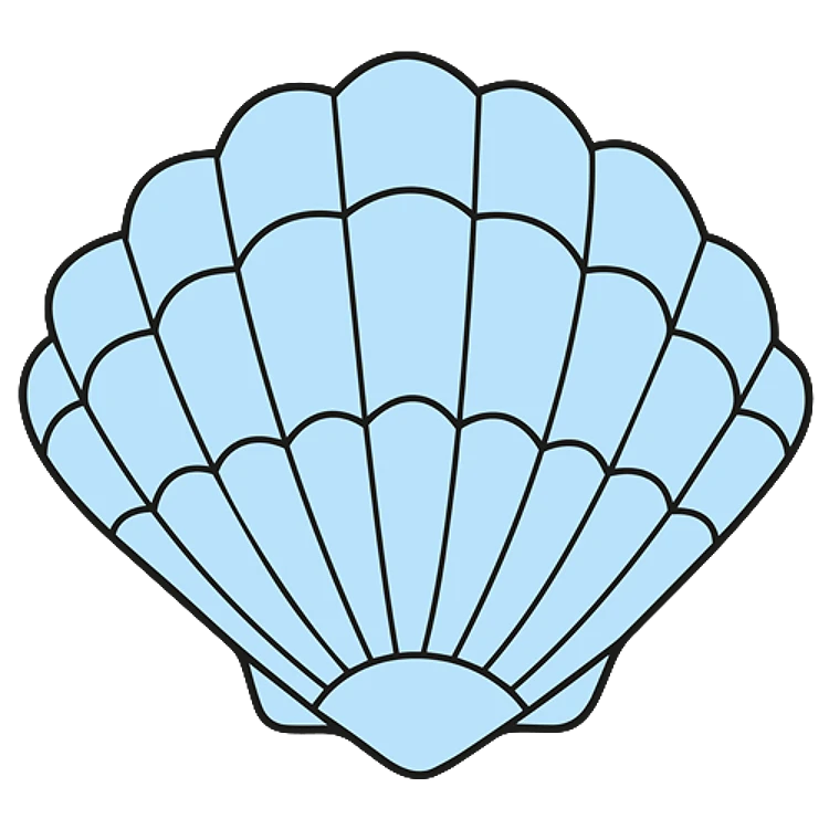FSL Sea Shell