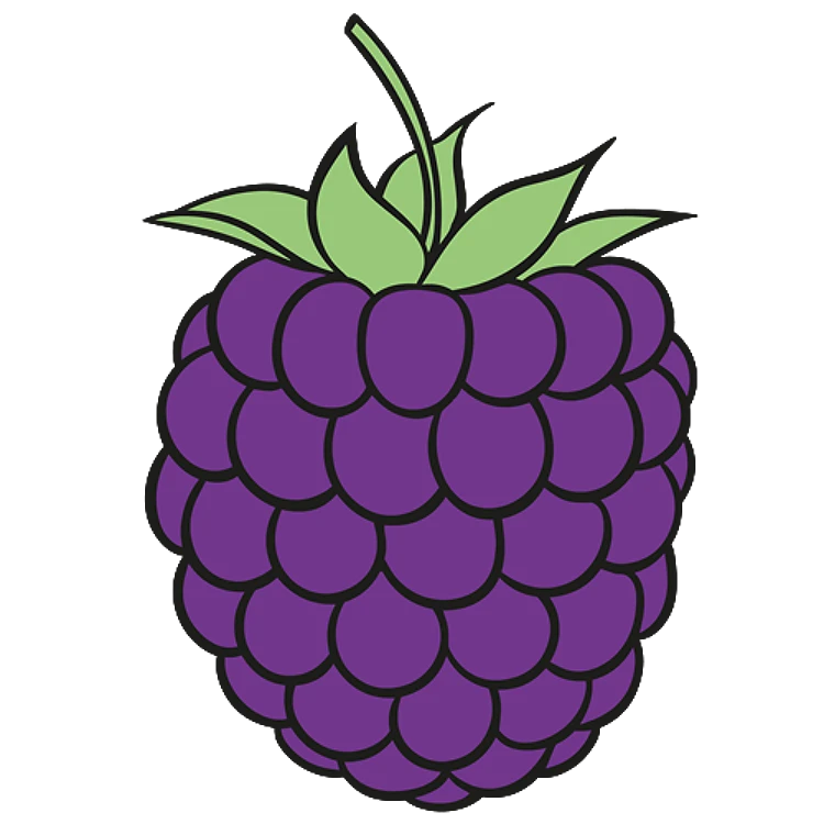 FSL Blackberry