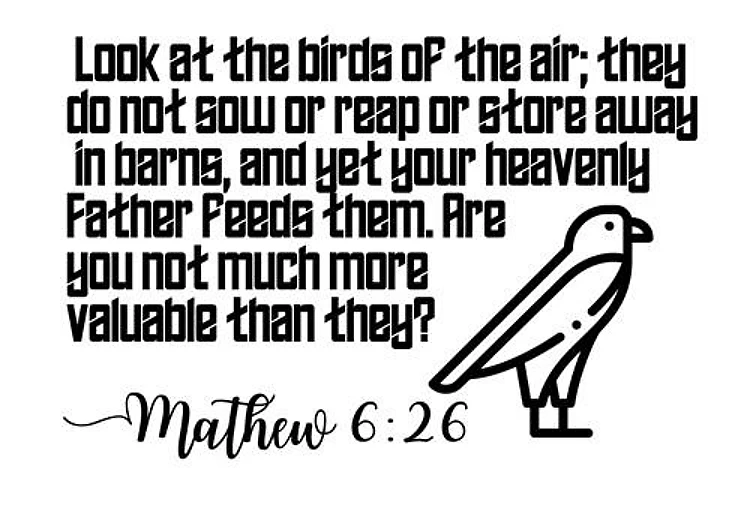 Birds Of The Air Matthew 6:26