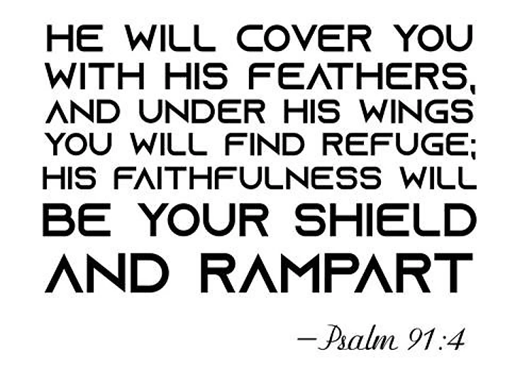 With His Feathers Psalm 91 4