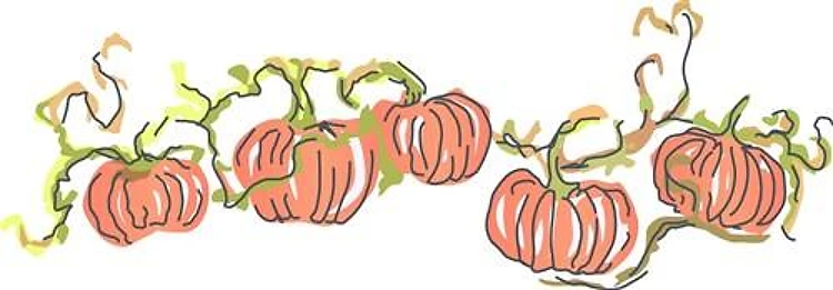 PUMPKIN PATCH