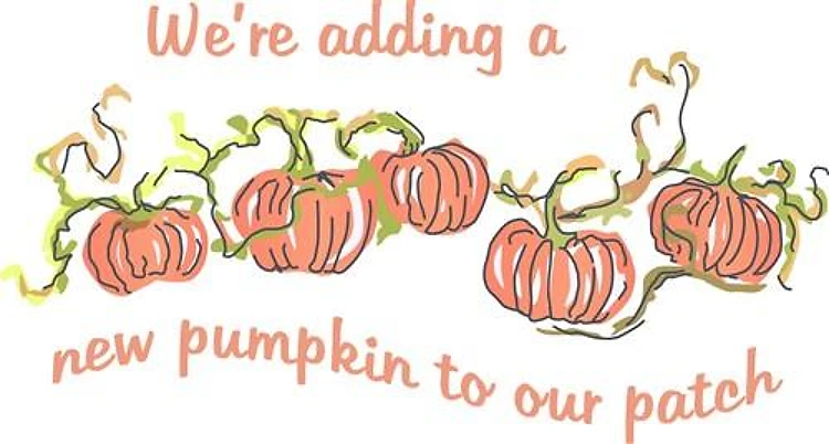 NEW PUMPKIN IN PATCH