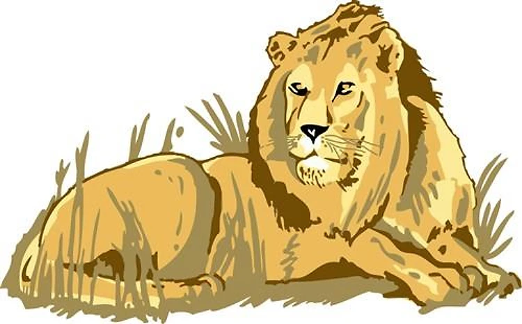 LION IN GRASS