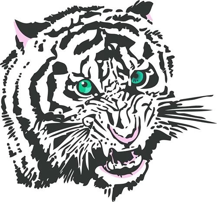 ALBINO TIGER