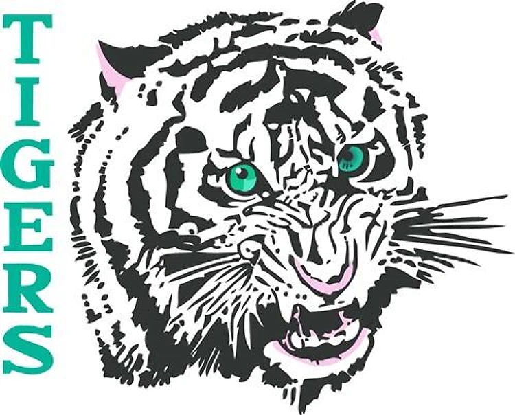 TEAM TIGERS