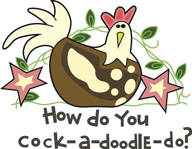 HOW DO YOU COCK A DOODLE DOO?