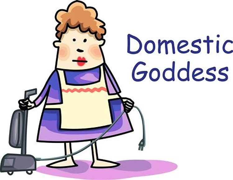 DOMESTIC GODDESS
