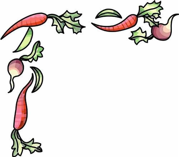 BORDER VEGGIES CARROTS