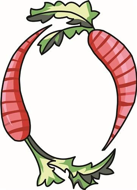 CARROTS