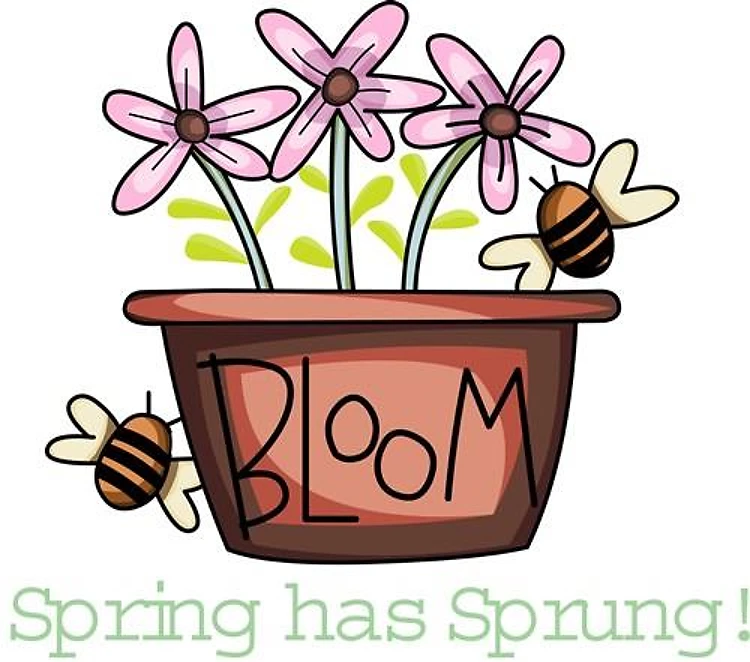 SPRING HAS SPRUNG!