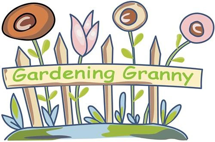 GARDENING GRANNY