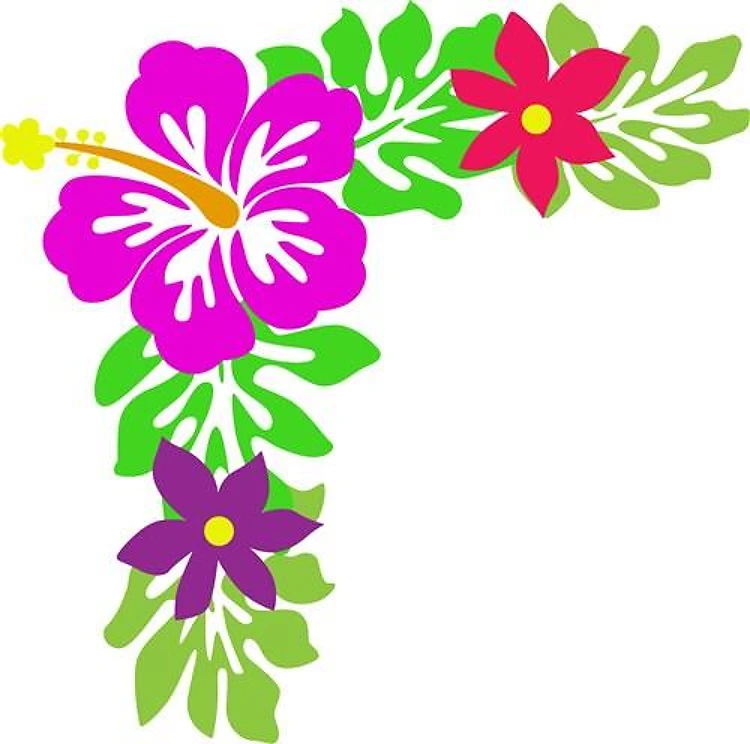Hawaiian Corner