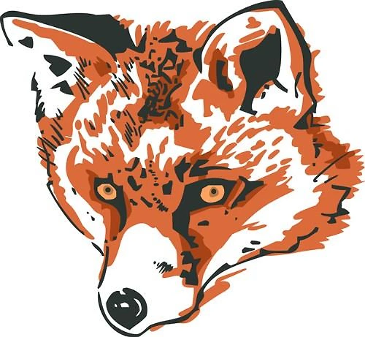 Red Fox Head