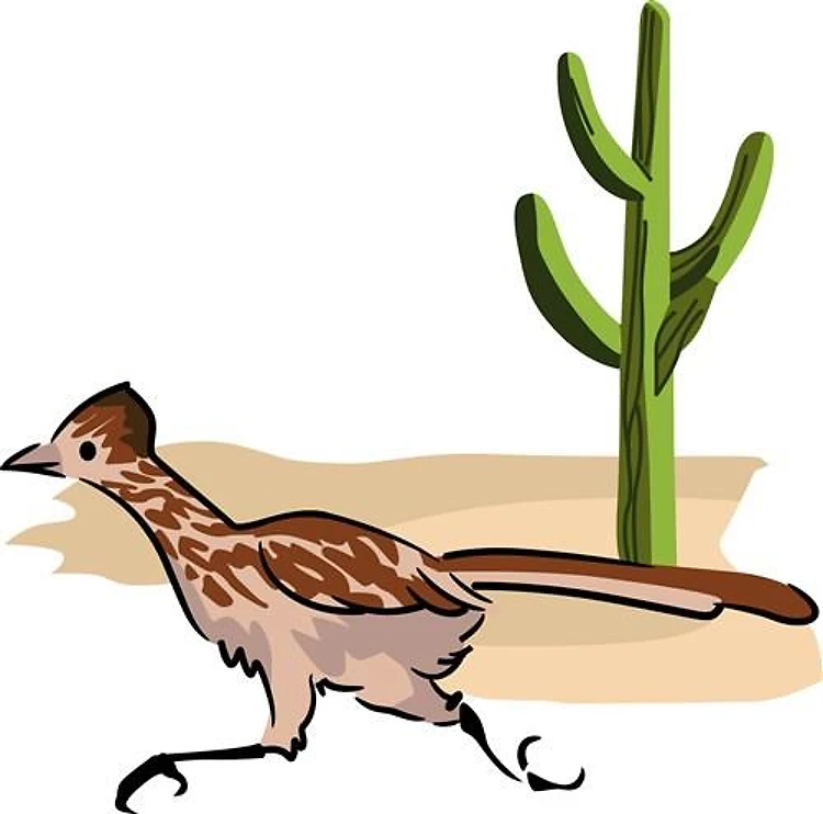 Roadrunner